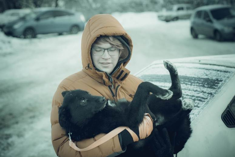 Дари добро Кировский приют для животных. Киров приют Дари добро адрес. Добро 22