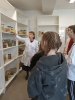 Заключительная сессия для обучающихся профильной группы из г. Шарья фото 3